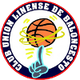 利内阿联篮球 logo