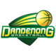 丹德农游骑兵 logo