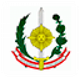 军队 logo