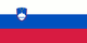 斯洛文尼亚女篮 logo