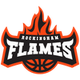 罗金厄姆火焰女篮 logo