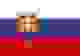 斯洛伐克女篮 logo