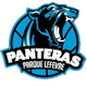 潘多拉女篮 logo
