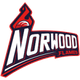 诺伍德火焰女篮 logo