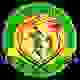 帕拉库迪纳摩 logo