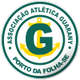 瓜拉尼AL logo
