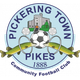 皮克灵镇 logo