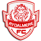 莱德米尔狮子U20 logo