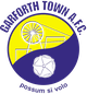 加福斯镇 logo