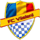 瓦斯尼 logo