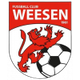 韦森 logo