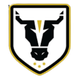 公牛学院U20 logo