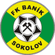 索科洛夫 logo