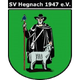 海格纳克女足 logo
