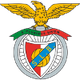 SL本菲卡女足 logo