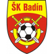 SK巴丁 logo