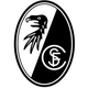弗莱堡B队 logo