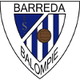 巴雷达 logo