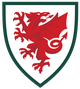 威尔士U18 logo