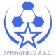 斯普林菲尔德ASC logo