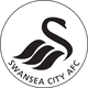 斯旺西女足 logo