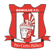 罗穆陆斯 logo