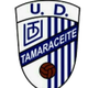 塔玛拉赛特 logo