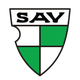 维哥萨克 logo