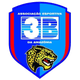 3B体育AM女足 logo