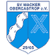 SV瓦塔 logo