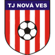 TJ  新星队 logo