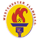 切斯特火焰 logo
