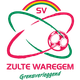 达梅斯后备队 logo