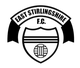东斯特灵郡 logo