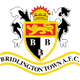 布里德林城 logo