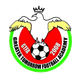 美好未来FC logo