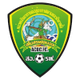 直流 FC logo