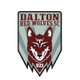 道尔顿红狼SC logo